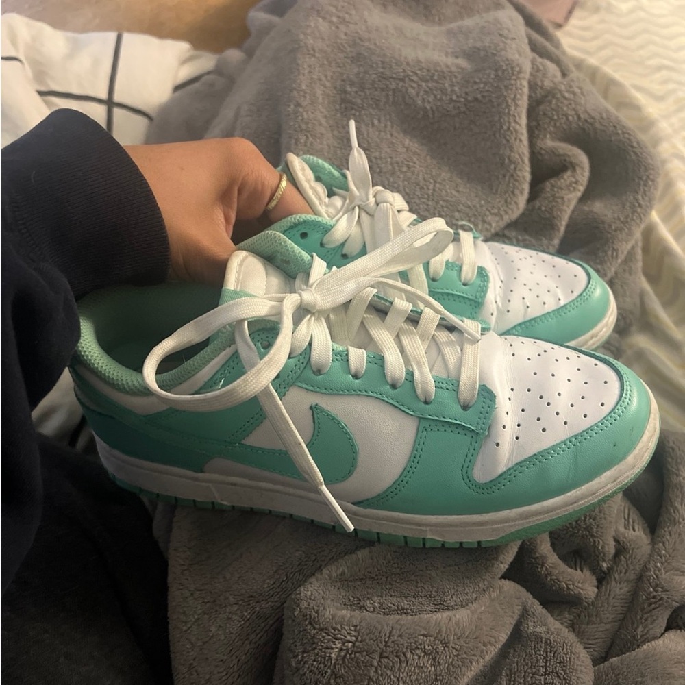 Nike dunk lows